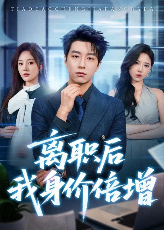 《离职后我身价倍增》-VIP部落