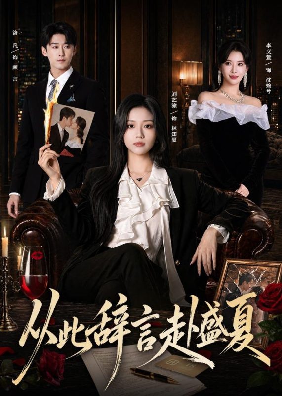 《从此辞言赴盛夏》-VIP部落