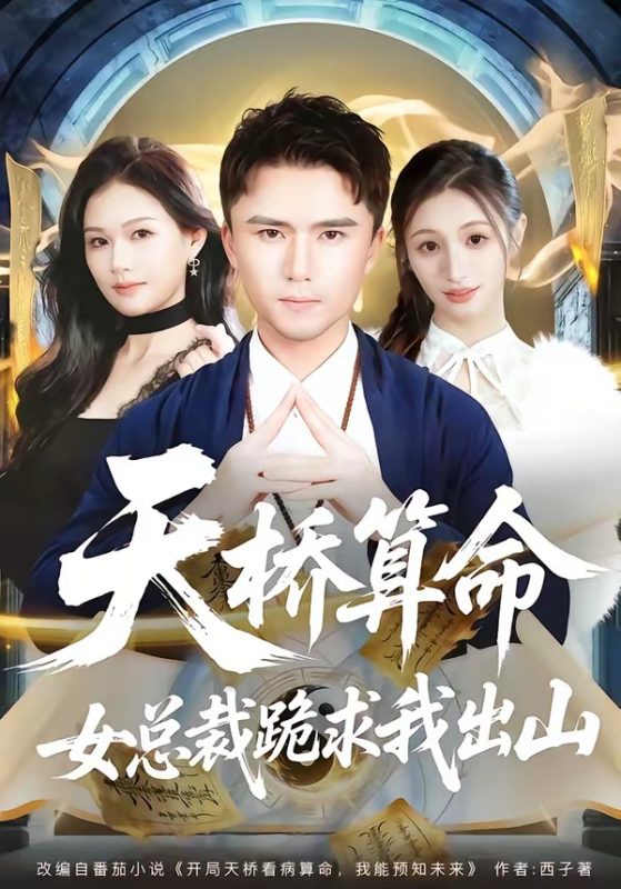 《天桥算命女总裁跪求我出山》-VIP部落