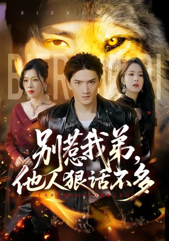 《别惹我弟，他人狠话不多》-VIP部落