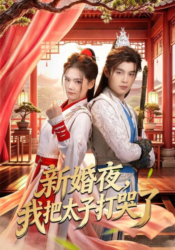 《新婚夜，我把太子打哭了》-VIP部落