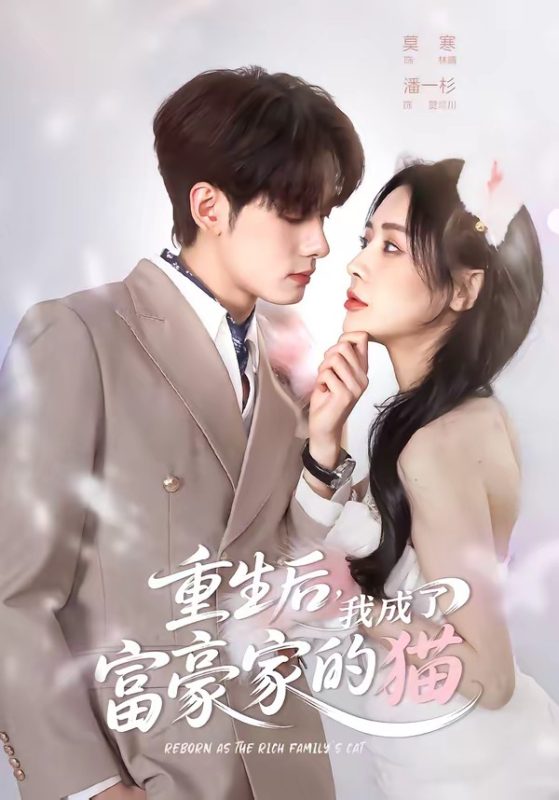 《重生后，我成了富豪家的猫》-VIP部落