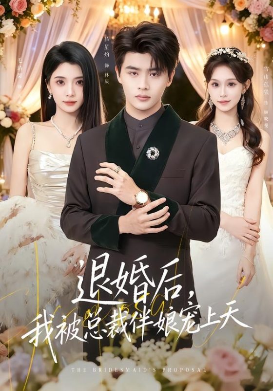《退婚后，我被总裁伴娘宠上天》-VIP部落