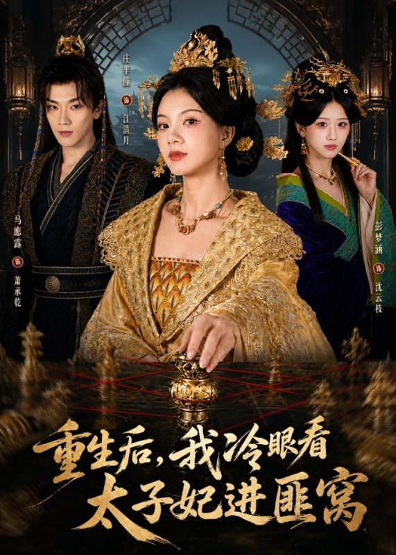 《重生后，我冷眼看太子妃进匪窝》-VIP部落