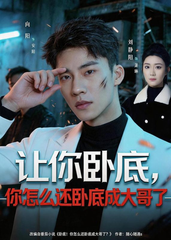 《让你卧底，你怎么还卧成大哥了》-VIP部落