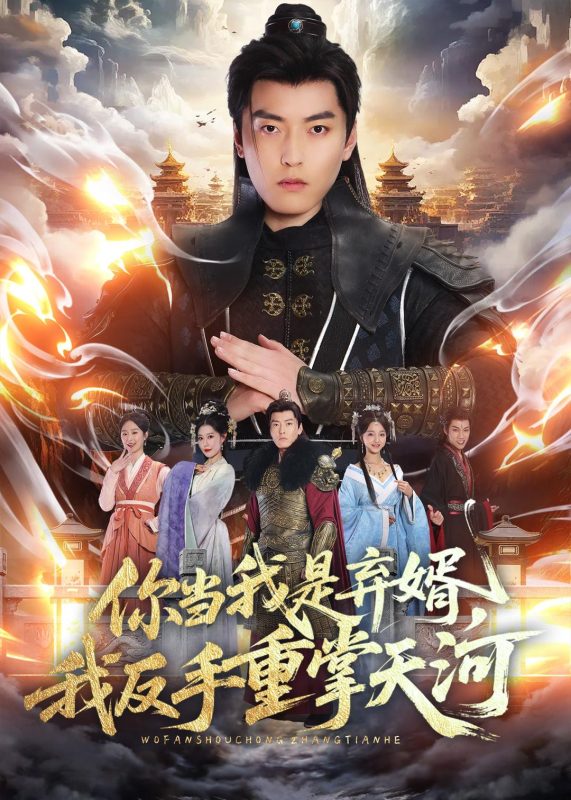 《你当我是弃婿，我反手重掌天河》-VIP部落