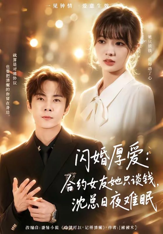 《闪婚厚爱：合约女友她只谈钱，沈总日夜难眠》-VIP部落