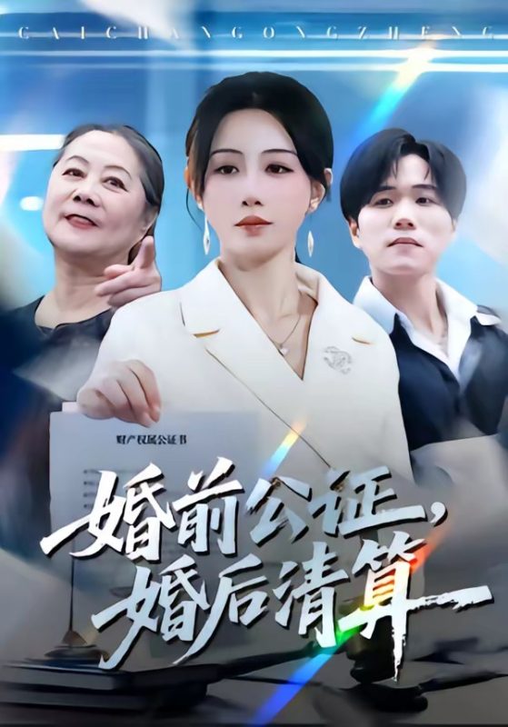 《婚前公证，婚后清算》-VIP部落