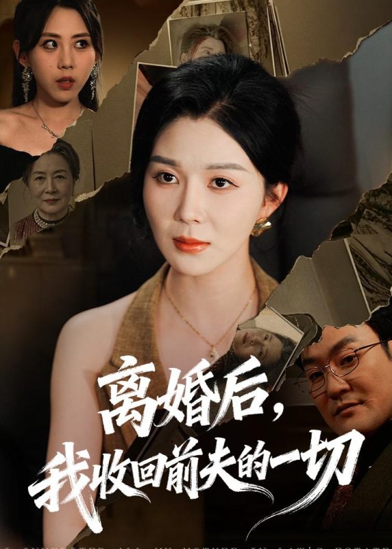 《离婚后，我收回前夫的一切》-VIP部落