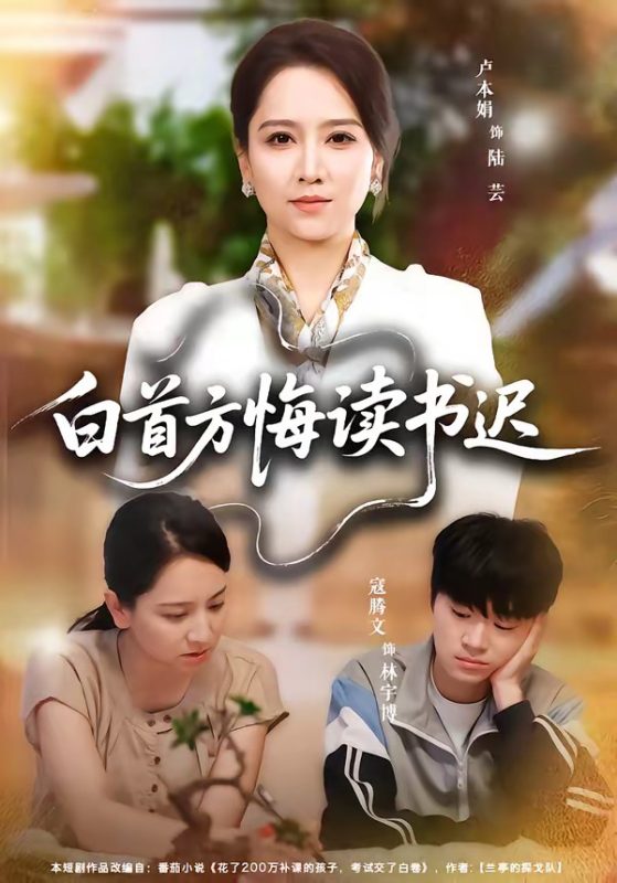 《白首方悔读书迟》-VIP部落