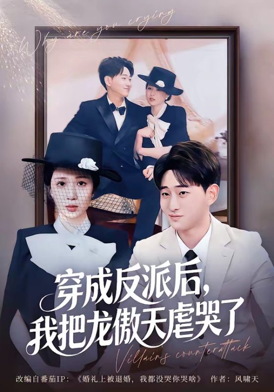 《穿成反派后，我把龙傲天虐哭了》-VIP部落