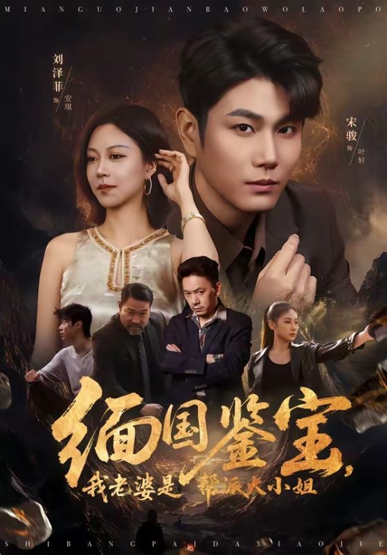 《缅国鉴宝，我老婆是帮派大小姐》-VIP部落