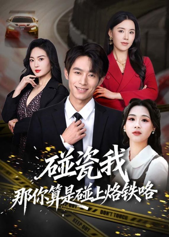 《碰瓷我那你算是碰上烙铁咯》-VIP部落