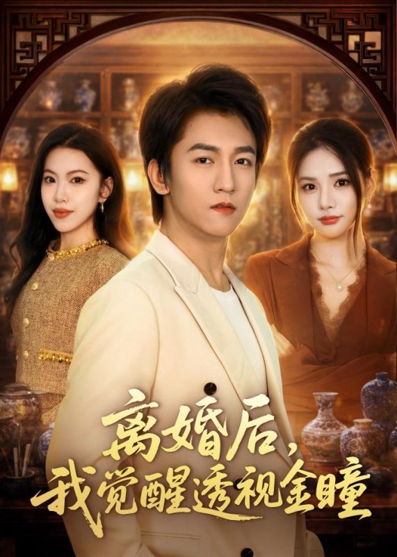 《离婚后，我觉醒透视金瞳》-VIP部落