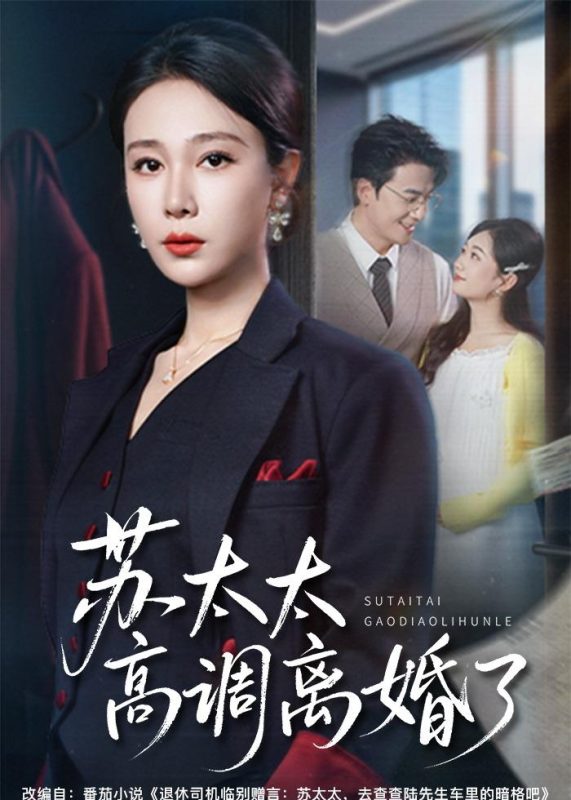 《苏太太高调离婚了》-VIP部落
