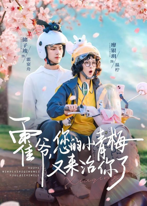 《霍爷，您的小青梅又来治你了》-VIP部落