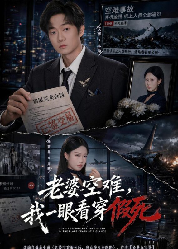 《老婆空难，我一眼看穿假死》-VIP部落