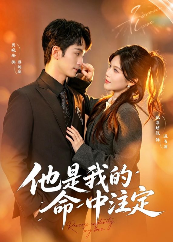 《他是我的命中注定》-VIP部落