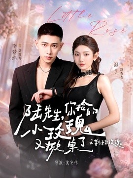 《陆先生，你捡的小玫瑰又掀桌了之荆棘玫瑰》-VIP部落