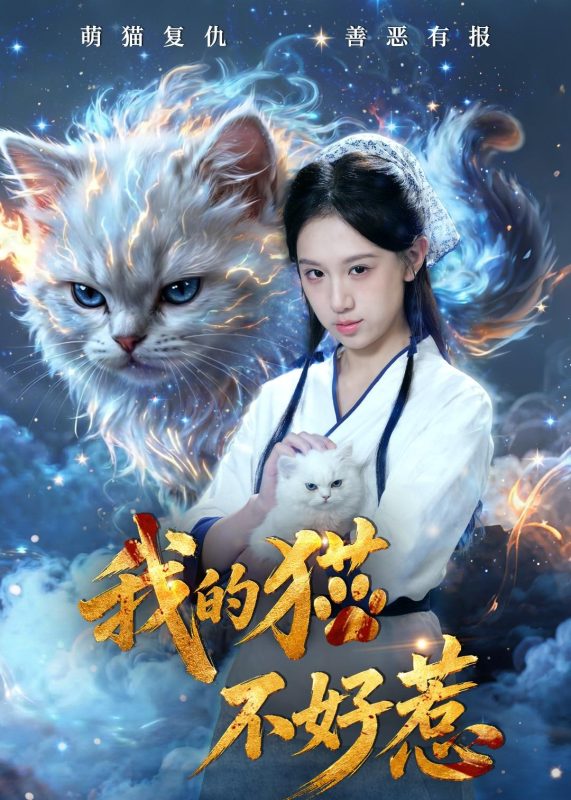 《我的猫不好惹》-VIP部落