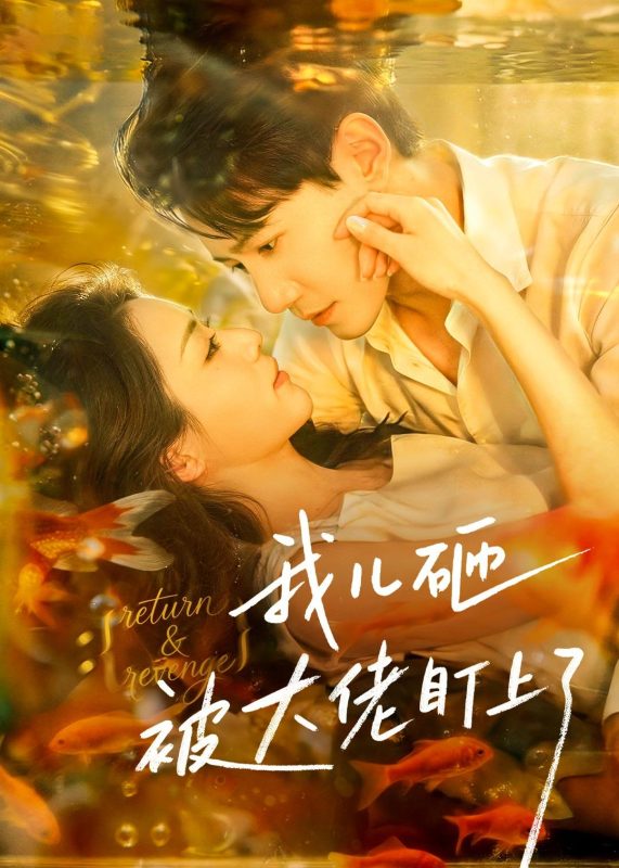 《我儿砸被大佬盯上了》-VIP部落