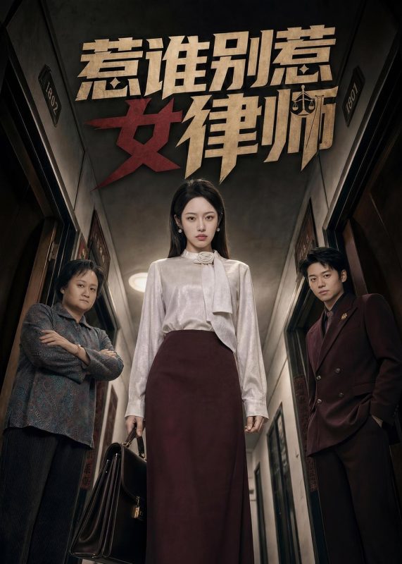 《惹谁别惹女律师》-VIP部落