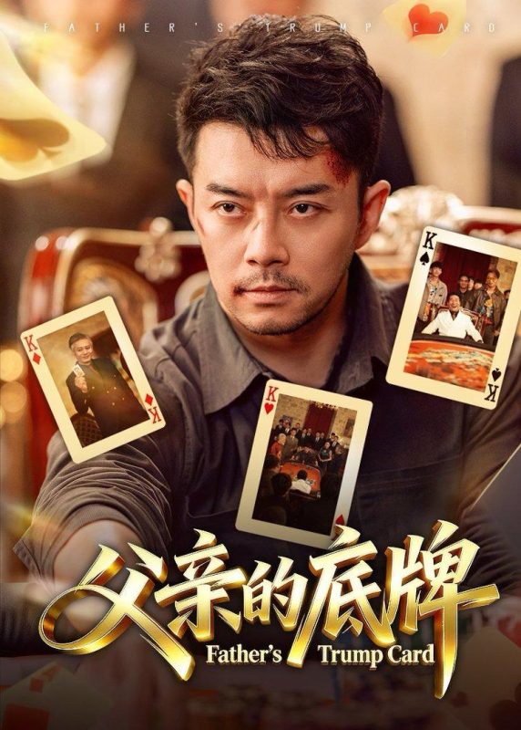 《父亲的底牌》-VIP部落