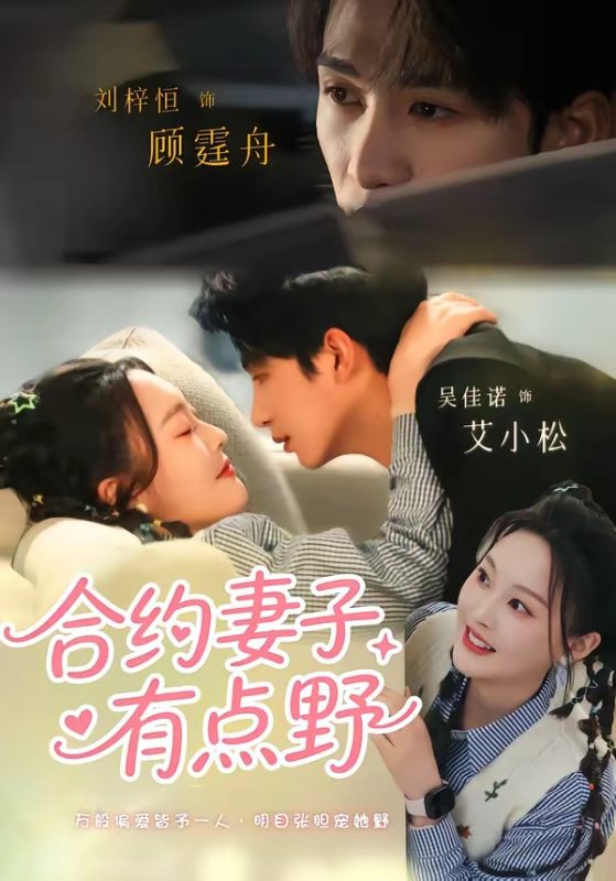 《合约妻子有点野》-VIP部落