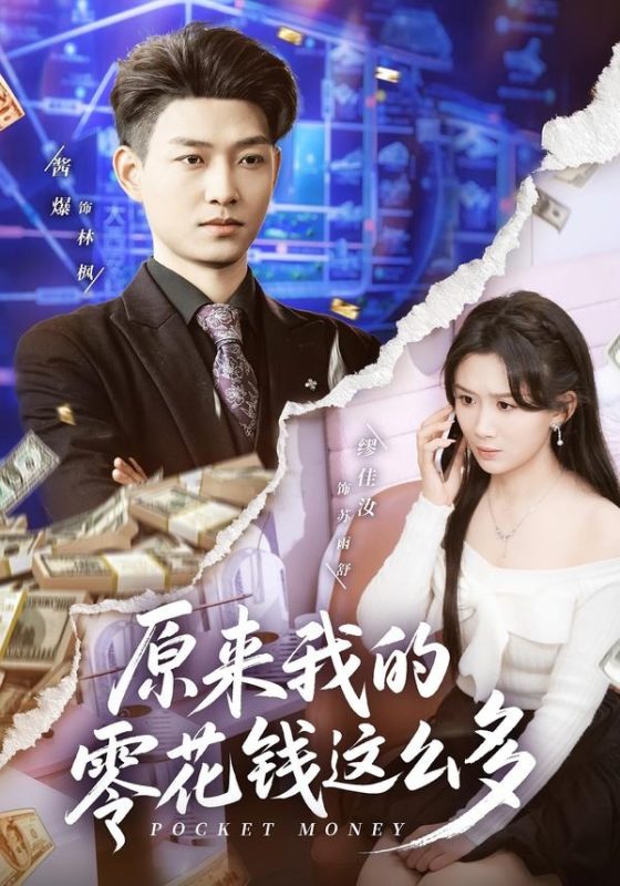 《原来我的零花钱这么多》-VIP部落