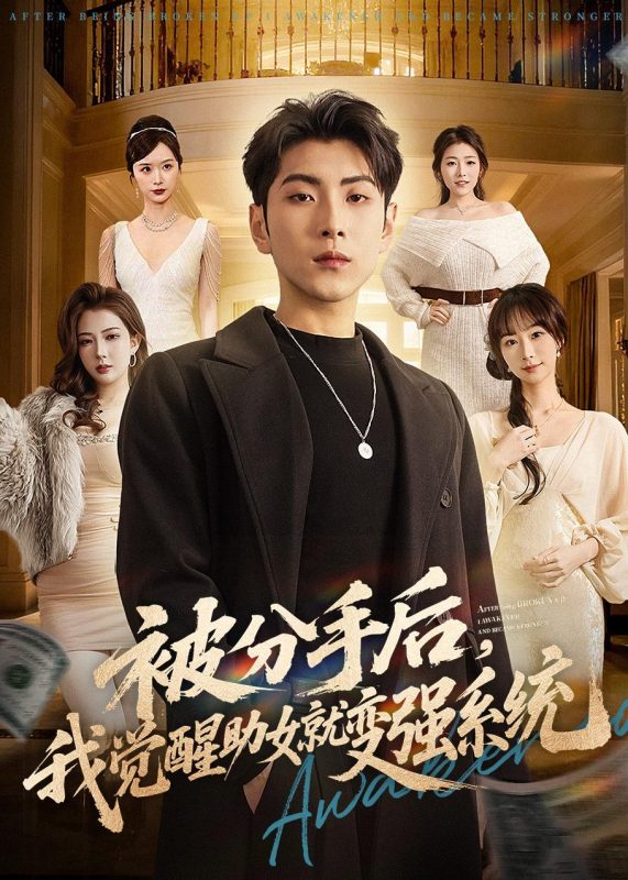 《被分手后，我觉醒助女就变强系统》-VIP部落