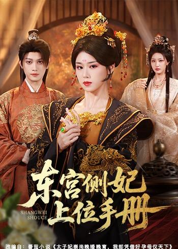 《东宫侧妃上位手册》-VIP部落