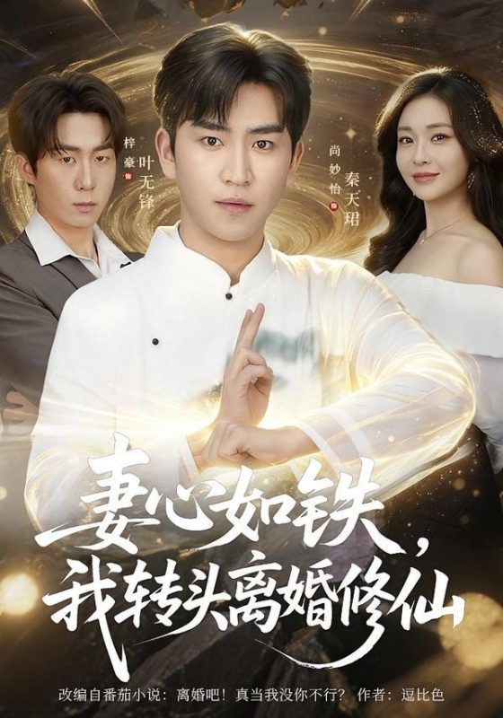 《妻心如铁我转头离婚修仙》-VIP部落