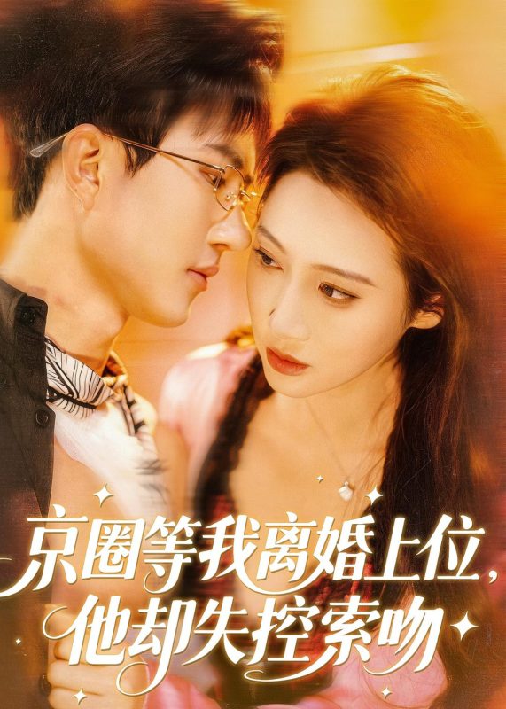 《京圈等我离婚上位，他却失控索吻》-VIP部落