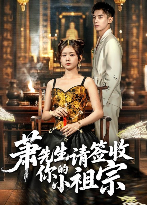 《萧先生请签收你的小祖宗》-VIP部落