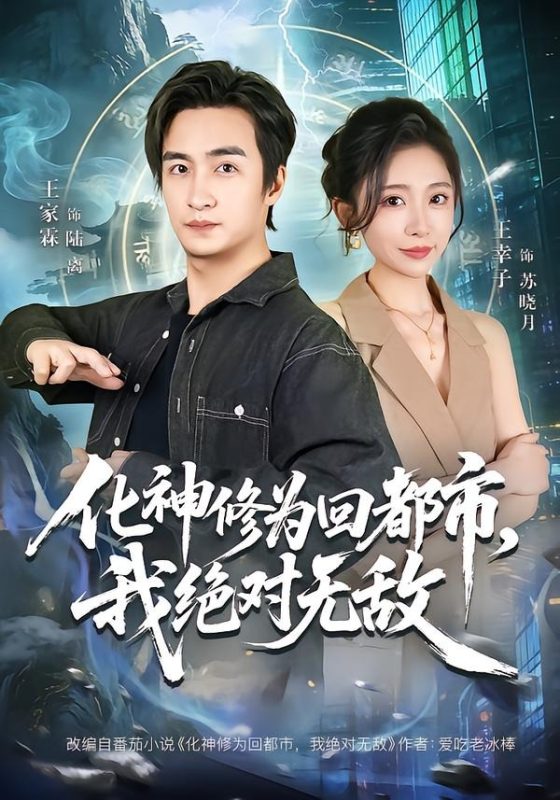 《化神修为回都市，我绝对无敌》-VIP部落
