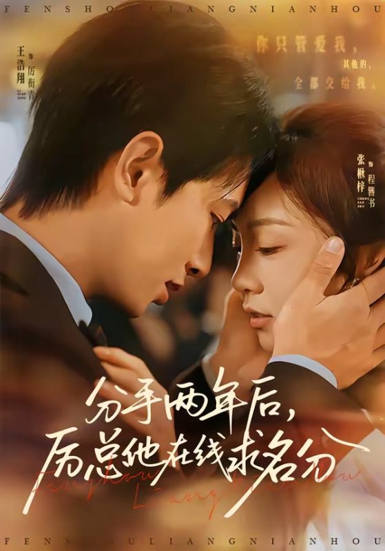《分手两年后，厉总他在线求名分》-VIP部落