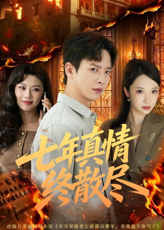《七年真情终散尽》-VIP部落