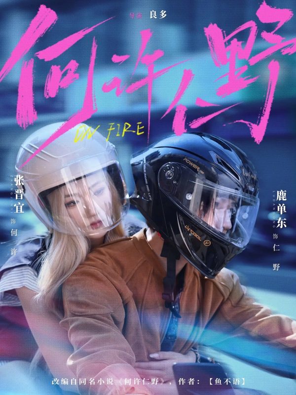 《何许仁野》-VIP部落