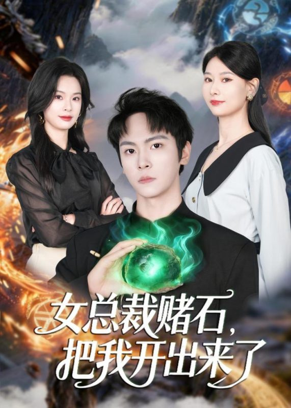 《女总裁赌石，把我开出来了》-VIP部落