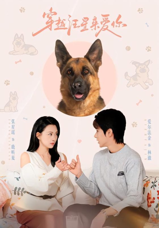 《穿越汪星来爱你》-VIP部落