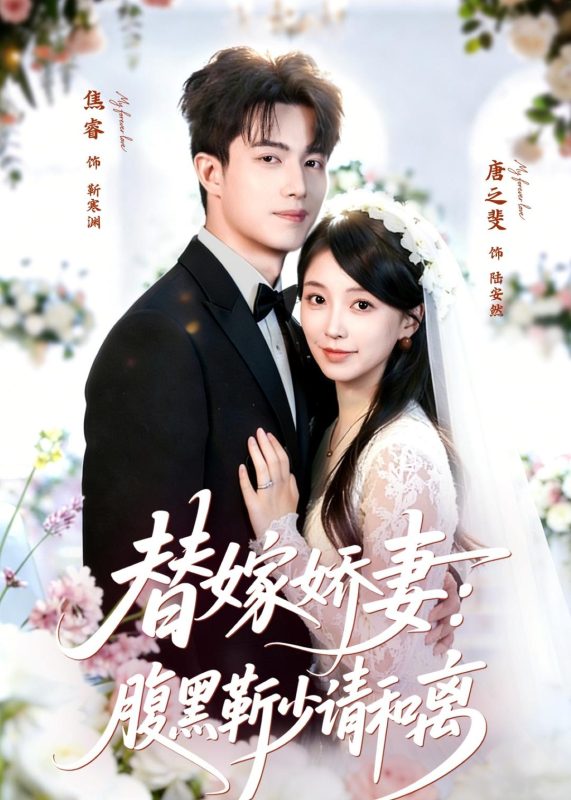 《替嫁娇妻：腹黑靳少请和离》-VIP部落