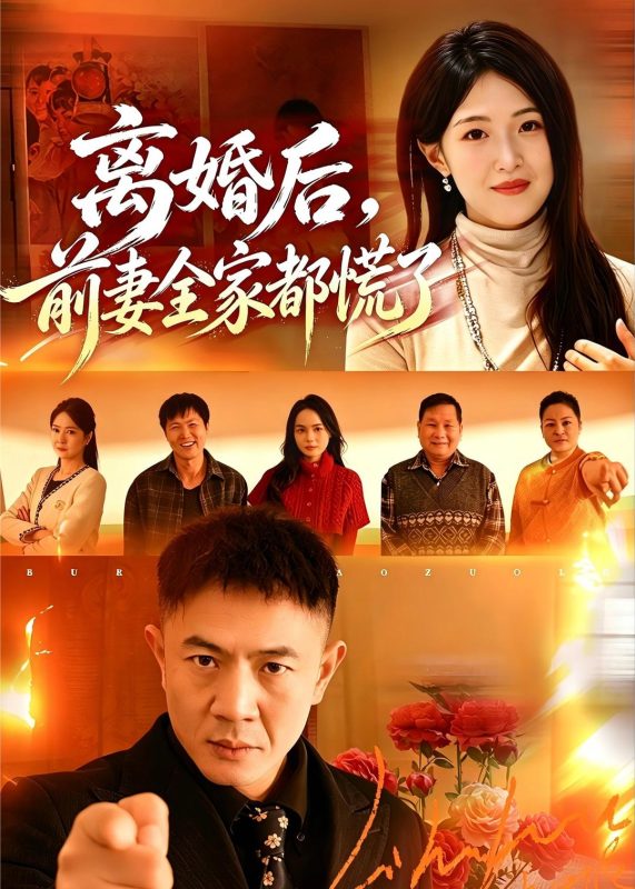 《离婚后，前妻全家都慌了》-VIP部落