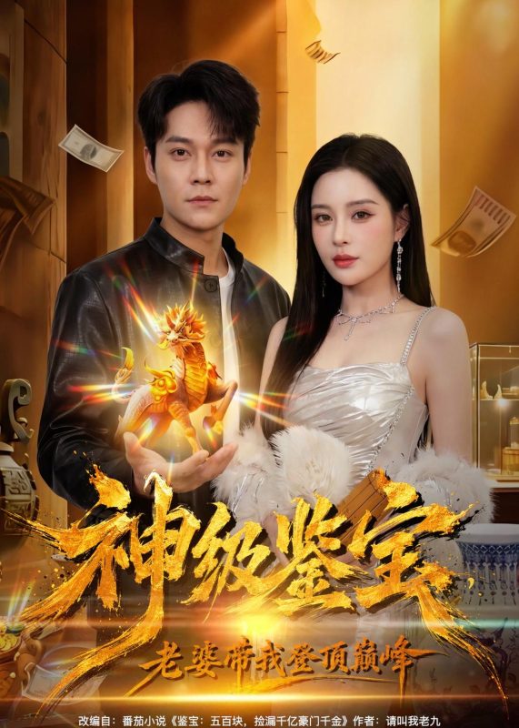 《神级鉴宝，老婆带我登顶巅峰》-VIP部落