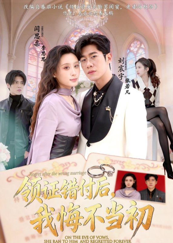 《领证错付后，我悔不当初》-VIP部落