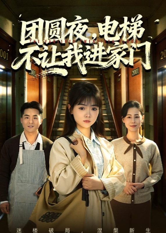 《团圆夜，电梯不让我进家门》-VIP部落