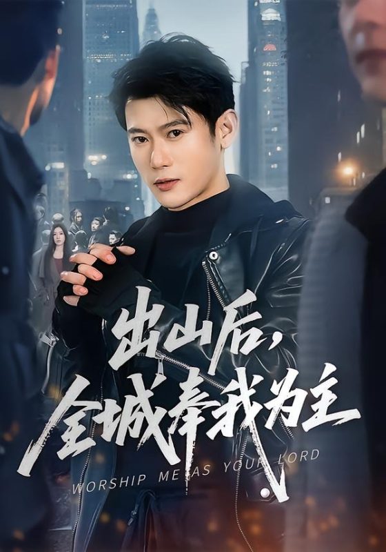 《出山后，全城奉我为主》-VIP部落