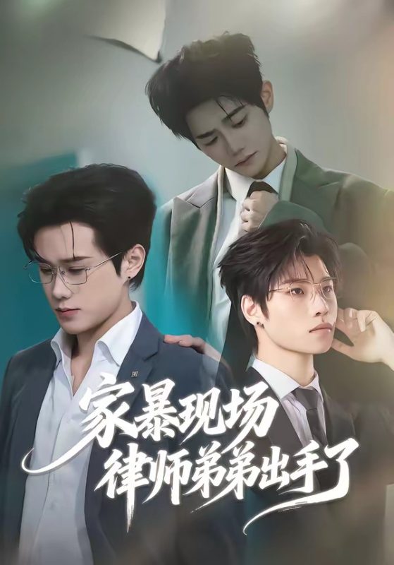 《家暴现场律师弟弟出手了》-VIP部落