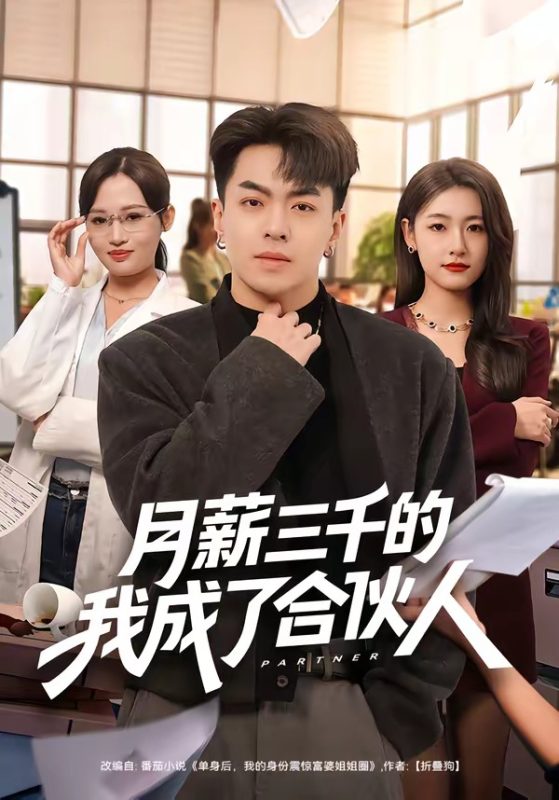 《月薪三千的我成了合伙人》-VIP部落