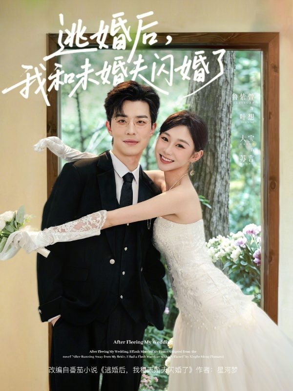 《逃婚后，我和未婚夫闪婚了》-VIP部落