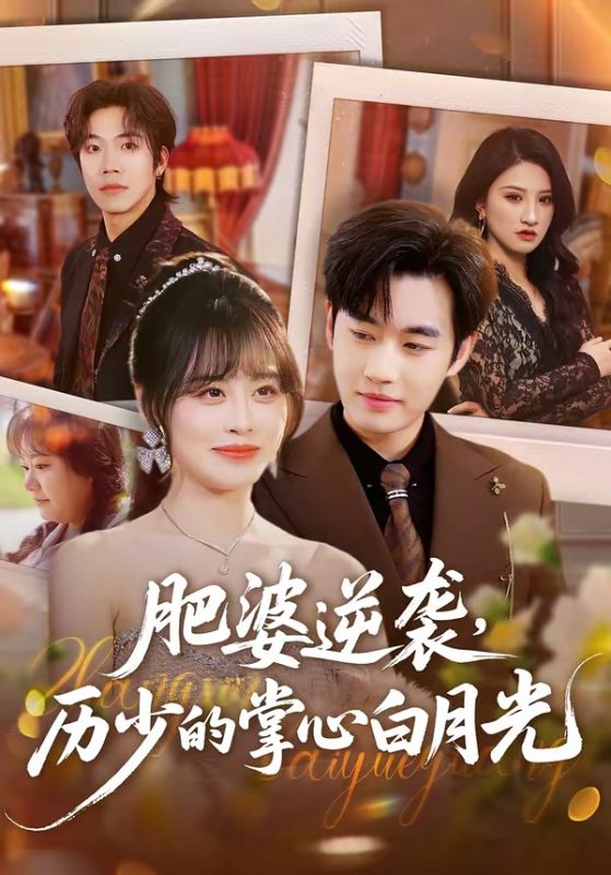《肥婆逆袭，历少的掌心白月光》-VIP部落